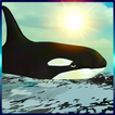 Whale Simulator 3D Free