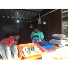 Icona chandan fish center