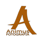 Animus simgesi