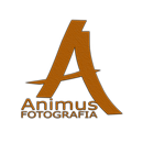Animus aplikacja