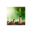 APK Wealth APK