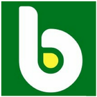 Balali's Vishalam Global Store icône