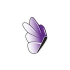 BGT icon