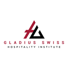 Gladius Swss Hospitality icône