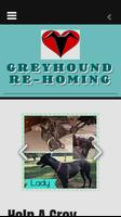 Greyhound ReHoming Plakat