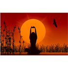 آیکون‌ Divine Yoga SF