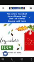 Dragon Store Keywebco Affiche