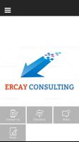 Ercay Consulting capture d'écran 3