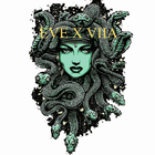 evexviia-icoon