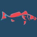Florida Fishing Charters APK