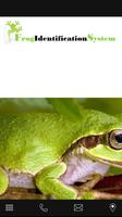Frog Identification System plakat