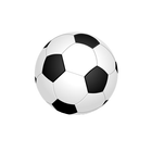 Futbol Indoor Zaragoza ikon
