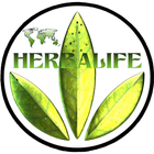 Herbalife Nutrition member আইকন