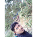 Imse company
