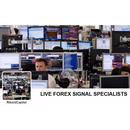LIve Forex Trading Signals APK