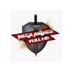 MegAnime FHD 720p APK