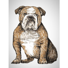 Mr Beefys Bulldogges ikon