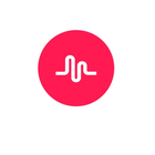 Musically Edition icon