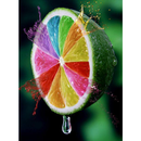 new ios test APK