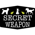 Secret Weapon UK আইকন