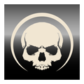 Skull Jewelry