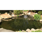 Pond Cleaning simgesi
