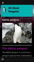 برنامه‌نما Penguin Mobile عکس از صفحه