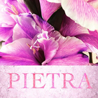 Pietra biểu tượng