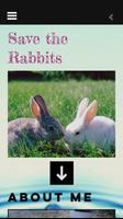 Poster rejected rabbit rescue