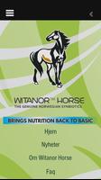 Witanor Horse Affiche