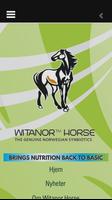 Witanor Horse скриншот 3