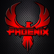 Team PhoeniX eSports
