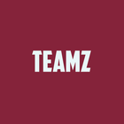 teamz أيقونة