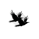 The Black Ravens APK