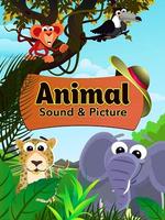 Animal Sound الملصق