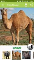 Animal Sound تصوير الشاشة 1