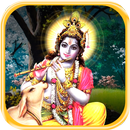 Krishna Mantra: Sampurna Gita, Updesh, Story APK