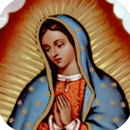 Oracion a la Virgen de Guadalupe aplikacja