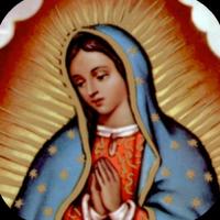 Oracion a la Virgen de Guadalupe Plakat