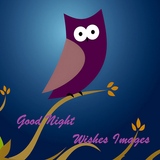 Good Night Wishes Images icône