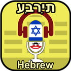 Voice changer and recorder آئیکن