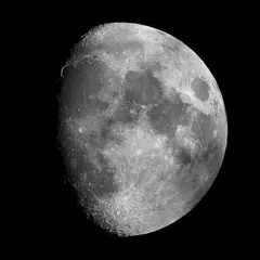 Moon Phases