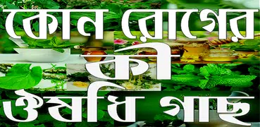 কোন রোগের কী ঔষধি গাছ