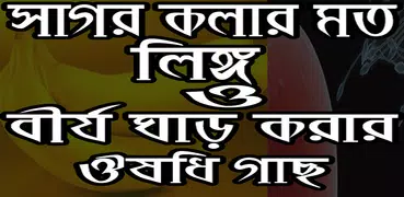 লিঙ্গ বড় ও বীর্য ঘন করার ঔষধি গাছ