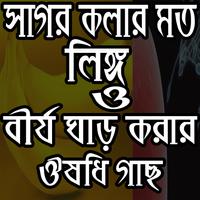 লিঙ্গ বড় ও বীর্য ঘন Affiche