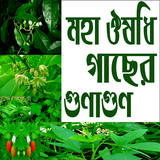 ১৭ টি ঔষধি গাছে ৫০০ রোগ নিরাময় icono
