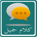 كلام جميل