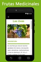 Frutas Medicinales screenshot 1