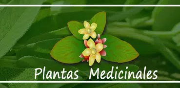 Plantas Medicinales y sus Usos