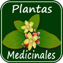 Plantes médicinales et leurs utilisations APK